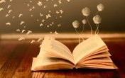 Книжная история
